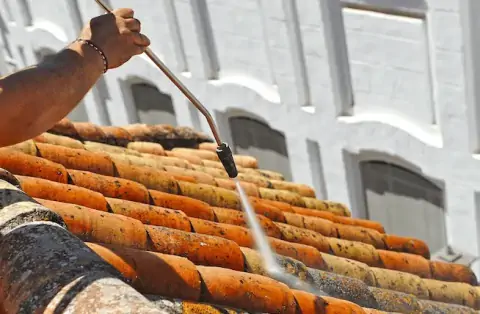 Nettoyage de toitures - Palluau-sur-Indre